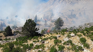 KAHRAMANMARAŞ'TA DAĞLIK ALANDA ÇIKAN YANGIN SÖNDÜRÜLDÜ