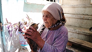 OTOMOBİLİN ÇARPTIĞI KEDİSİNİN ARDINDAN GÖZYAŞI DÖKEN YAŞLI KADIN YÜREK BURKTU 