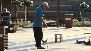 SATTIĞI CİVCİVLERİ TEKMELEDİ, TEPKİ YAĞDI 