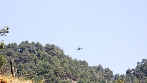 KAHRAMANMARAŞ'TA ORMAN YANGINI 