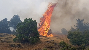 KAHRAMANMARAŞ’TA ORMAN YANGINI 