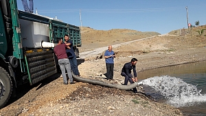 ADATEPE VE KANDİL BARAJLARINA 750 BİN ADET YAVRU BALIK BIRAKILDI 