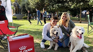 AŞIRI KİLO VE OBEZİTE HAYVANLARIN DA SAĞLIĞINI TEHDİT EDİYOR