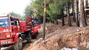 KAHRAMANMARAŞ’TA ZEYTİNLİK ALANDA YANGIN!