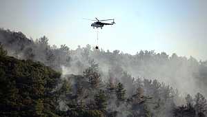TARIM VE ORMAN BAKANLIĞI ÇIKAN YANGINLARLA İLGİLİ AÇIKLAMA YAPTI