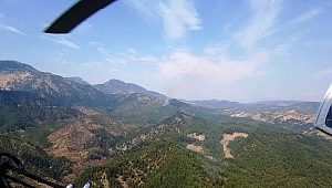 YILDIRIM DÜŞEN ORMANLIK ALANDA YANGIN ÇIKTI!