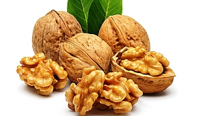 6. ÇAĞLAYANCERİT CEVİZ VE KÜLTÜR FESTİVALİ