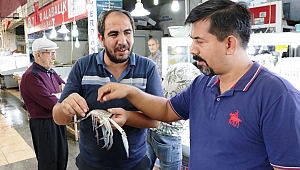 DENİZİ OLMAYAN KENTTE YENGECE RAĞBET ARTTI!