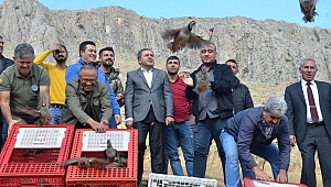 ELBİSTAN’DA 500 KINALI KEKLİK DOĞAYLA BULUŞTU