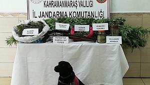 ELBİSTAN’DA UYUŞTURUCU OPERASYONU