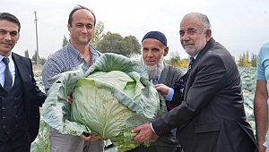 ELBİSTAN LAHANASINA 