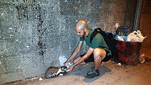 HAYATINI SOKAK HAYVANLARINA ADADI