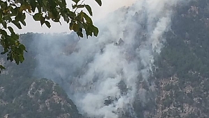 KAHRAMANMARAŞ'TA ORMAN YANGINI