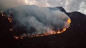 KAHRAMANMARAŞ’TA ORMAN YANGINI