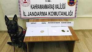 KAHRAMANMARAŞ’TA UYUŞTURUCU OPERASYONU: 10 GÖZALTI!