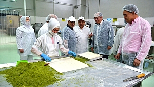 MADO ÇİN’E 3 BİN ŞUBE AÇIYOR!