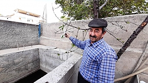 MEVSİMİNİ ŞAŞIRAN KİRAZ AĞACI ÇİÇEK AÇTI