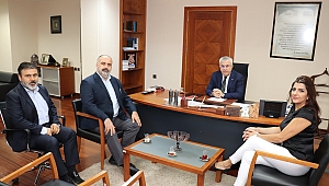 3 Şirket 