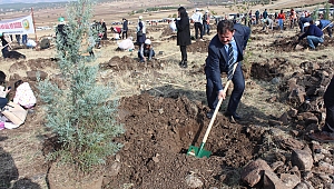 BUGÜN FİDAN YARIN NEFES 11 MİLYON AĞAÇ TOPRAKLA BULUŞTU