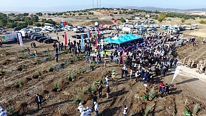 KAHRAMANMARAŞ’TA 221 BİN FİDAN TOPRAKLA BULUŞTU