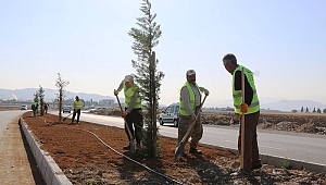 KAHRAMANMARAŞ'TA AĞAÇLANDIRMA ÇALIŞMALARI SÜRÜYOR