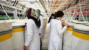 Kipaştan Ara Teknik Elemanı Sorununa Çözüm