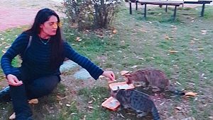 Pınar Öğretmenin Hayvan sevgisi görenleri imrendiriyor!