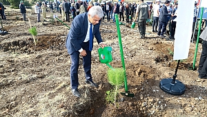 ZABUN: “GELECEK NESİLLERE BIRAKILACAK EN BÜYÜK HAZİNE ORMANDIR”