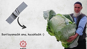 120 Bin Dolarlık Muza 