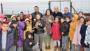 Harçlıklarıyla Sokak Hayvanlarına 2,5 Ton Sakatat Aldılar