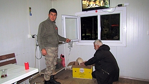 Hasta Köpeğe Güvenlik Güçleri Bakıyor