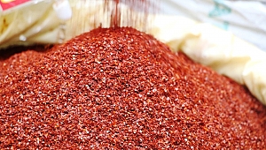 Somali'de Maraş Biberi Üretiliyor