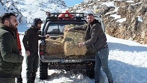 Yaban Hayvanları İçin Doğaya 5 Ton Yem Bıraktılar
