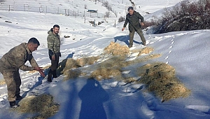 Yaban Hayvanları İçin Doğaya Yem Bırakıldı