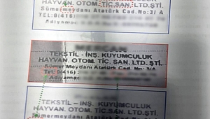 Milyonlarca Liralık Vurgun Yapan Çete Çökertildi