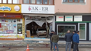 Otomobil Kuaföre Girdi