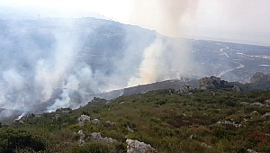Samandağ'da Otluk Alanda Yangın