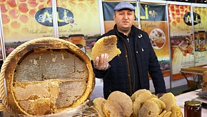 Virüslere Karşı Bağışıklığı 'Arı Sütü ve Propolis' İle Güçlendirin