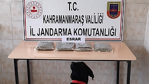 Yolcu Otobüsünde Uyuşturucu Sevkiyatı Jandarmaya Takıldı