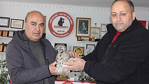 Afşin'de Yaralı Puhu,Doğa Koruma Görevlilerine Teslim Edildi!