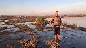 Güme İle Yasa Dışı Ördek Avına Geçit Yok