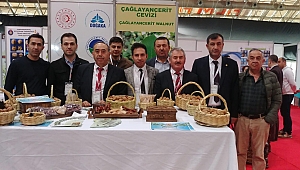 Kahramanmaraş Çağlayancerit Cevizi Antalya’da Tanıtıldı