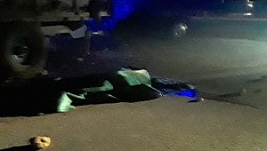 Çoban Köpeği Yüzünden Dayısını Ve Kuzenini Öldürdü