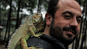 4 Yıldır Beslediği İguana en Yakın Arkadaşı Oldu