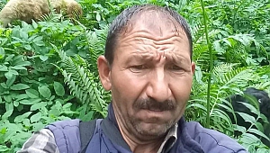 Hayvan Otlatmaya Gitti Cesedi Bulundu