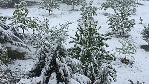 Kahramanmaraş’ta Mayıs Ayında Lapa Lapa Kar Yağdı