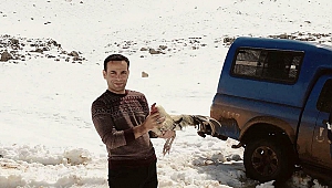 Kaymakam Koç, 
