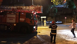 Ağaçta Mahsur Kalan Kediyi İtfaiye Kurtardı