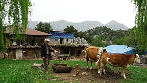 Dağ Köyünde Yıllardır Yalnız Yaşıyor