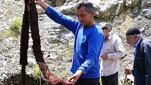 İçme Suyu Borusundan Çıkan 6 Metrelik Ağaç Kökü Görenleri Şaşkına Çevirdi